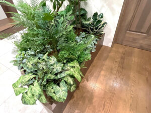 clinic-hadairo_web3