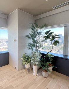 オフィス内・商談室等のフェイクグリーン設置事例です。