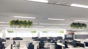 office_202405_1 オフィス空間の天井から下げるハンギングのフェイクグリーンです。