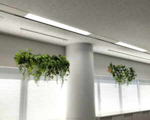 office_202405_2 オフィス空間の天井から下げるハンギングのフェイクグリーンです。