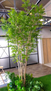 本物の樹木を使用した大型人工観葉植物