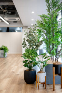 web_DSC07226