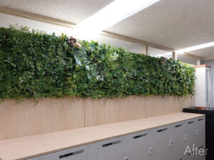 オフィスの室内緑化after
